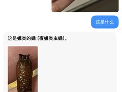 -芙蓉树下冒菜(大悦城店)