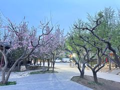 -香木香羊(小汤山店)