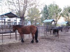 -北京长城阳光山谷马术俱乐部