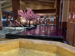 -大江户·温泉洗浴(浑南店)