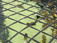 -沈阳海洋探索中心