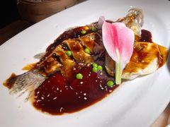 -桂满陇·锦绣江南(益田广场店)