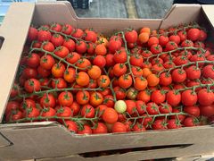 -西郊国际农产品交易中心