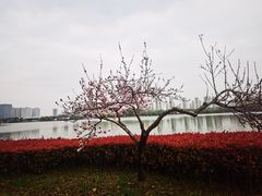 -石湖景区