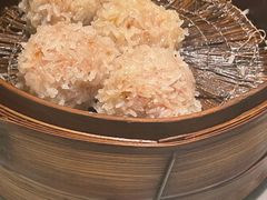 大力丸-风波庄(罍街分舵)