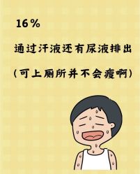 -Fundi张玉珊修身堂·indiba·BTL科技瘦身