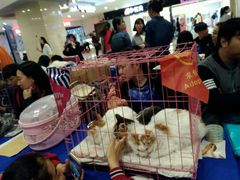 -吾悦广场(天津和平店)