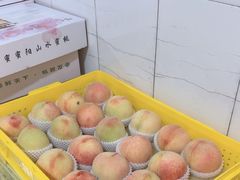 -老袁家蜜桃农场·阳山水蜜桃