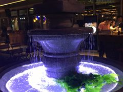 -Paulaner·德国帕拉娜自酿啤酒餐厅(海上世界店)