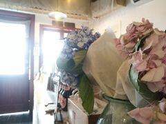 -春风十里咖啡馆