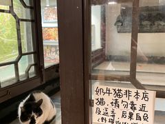 -猫的天空之城概念书店(杭州南宋御街店)