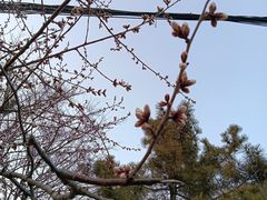 -燕窝岭