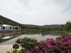 -龙寺生态园