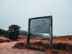 -霍顿平原国家公园