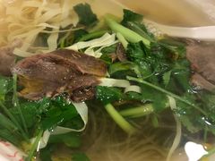 牛肉粉丝汤-小姜锅贴(凤凰街店)