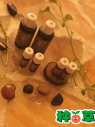 -芳香乐府疗愈空间·SPA·冥想