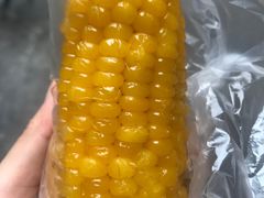 -西南交通大学(九里校区)