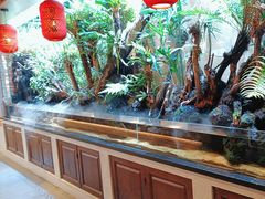 -闽南厝·闽南菜(福隆店)
