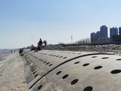 -天津东疆湾沙滩景区