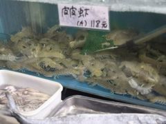 -胶东海鲜大排档(北太平庄店)
