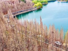 -樱花山风景区