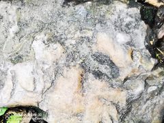 -紫金山天文台