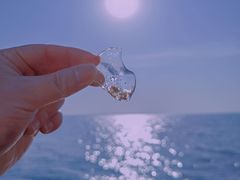 -金梦海湾浴场