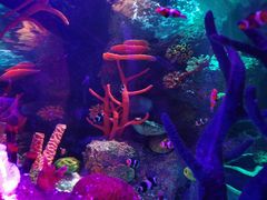 -沈阳海洋探索中心