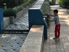 -苏州河梦清园环保主题公园