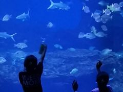 -多彩贵州城极地海洋世界