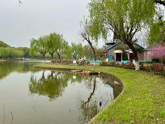 -上海鲜花港