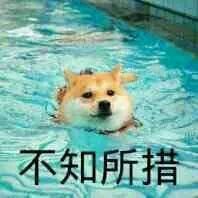 -V8潮牌·接发烫染连锁