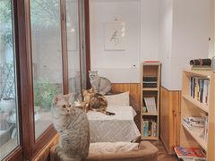 -隅cafe(傅厚岗店)