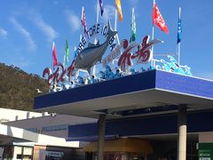 门面-海鮮寿司とれとれ市場