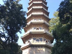-灵谷景区