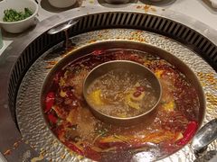 -晓宇重庆火锅(赛格国际购物中心店)
