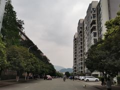 -四川农业大学(雅安校区)