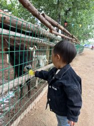 -上美四季动物农场