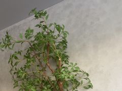 -眉州东坡(翠微印象城店)