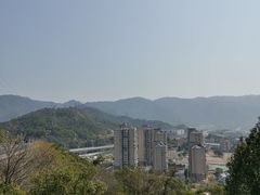 -金鸡山公园