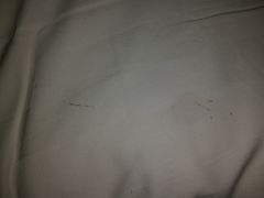 android_upload_pic-桔子酒店(上海西藏北路地铁站店)