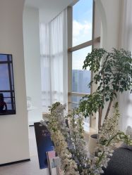 -JNK皮肤管理中心