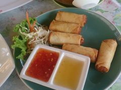 -Jungle Kitchen