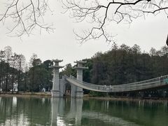 -东湖落雁景区