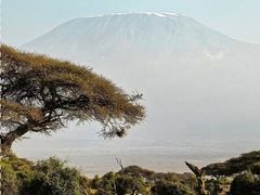 -乞力马扎罗山