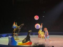 -珠海横琴长隆《卡卡虎奇遇记》