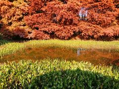 -上海共青森林公园