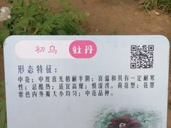 -仁和公园(顺义区)