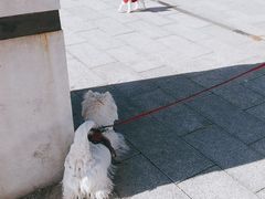 -云岗森林公园