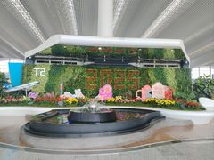 -广州白云国际机场-T2航站楼